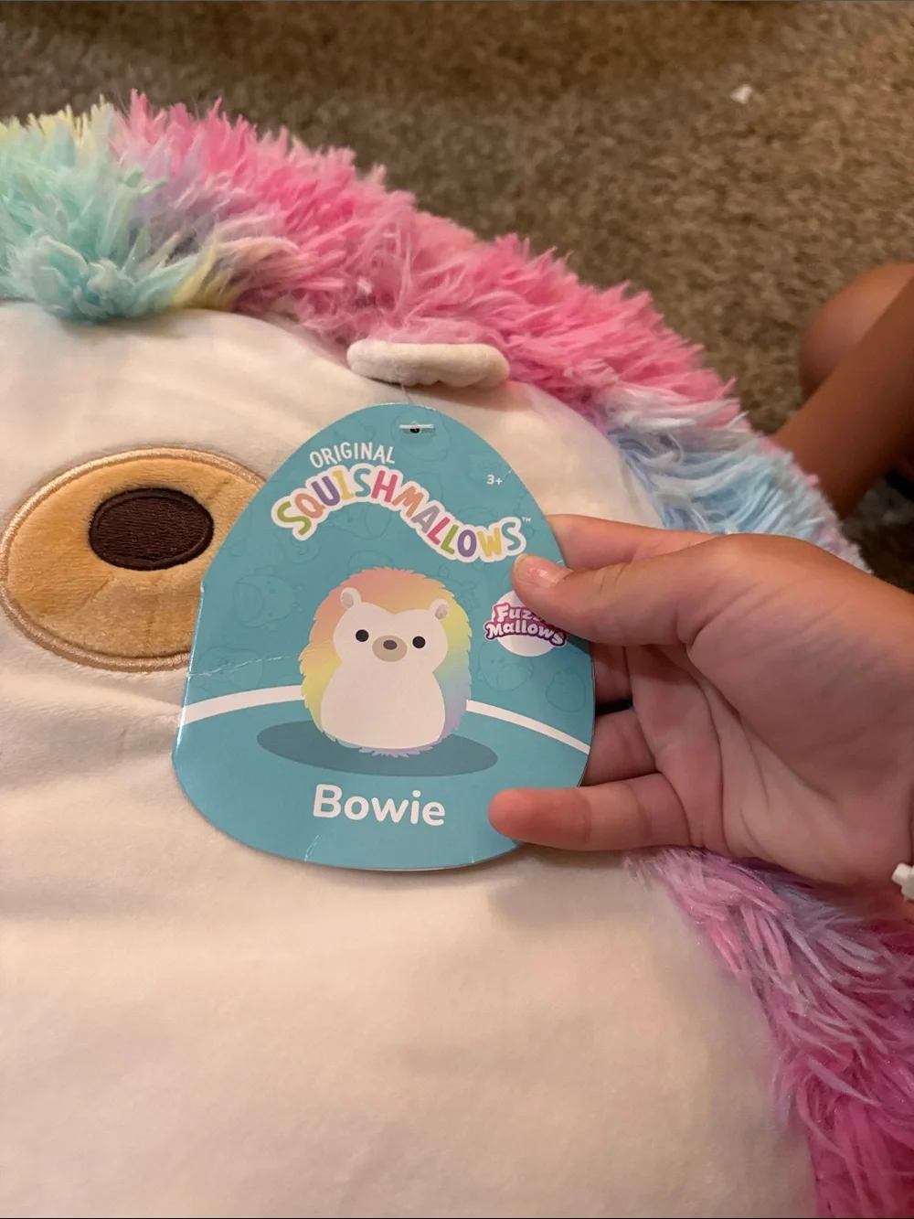 Squishmallows plush hedgehog